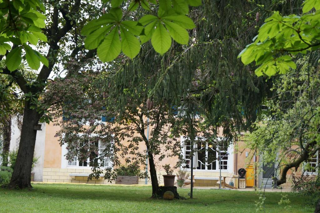 Aux Raisins Verts Bed & Breakfast Castillon-la-Bataille Dış mekan fotoğraf